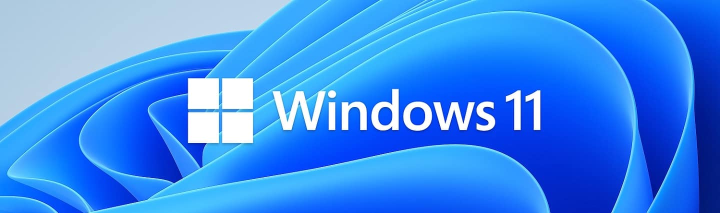 Windows 11